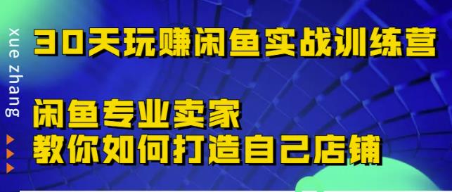 30天玩赚闲鱼实战训练营，闲鱼专业卖家教你如何打造自己店铺￼-大熊猫资源站