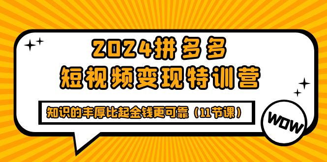 2024多多视频变现教学训练营，知识的丰厚比起金钱更可靠-大熊猫资源站