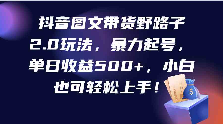 （9790期）抖音图文带货野路子2.0玩法，暴力起号，单日收益500+，小白也可轻松上手！-大熊猫资源站