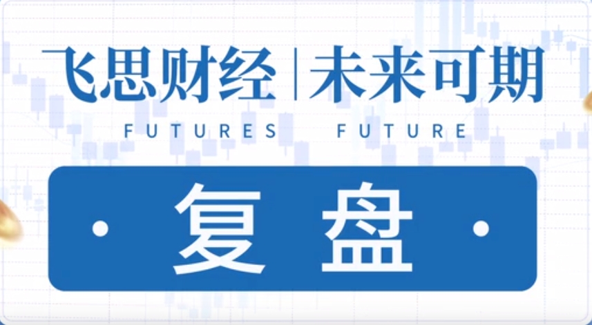 【飞思财经】202401月-5月飞思大宗商品研究院视频课程-大熊猫资源站