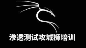 WireShark网络安全分析|新版暗月全栈渗透测试视频-大熊猫资源站